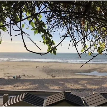 Les Volets Bleus De Les Roses